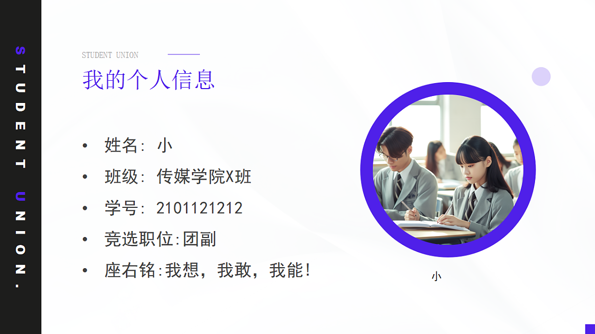 17706347第4页