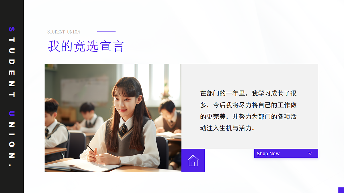 17706347第5页
