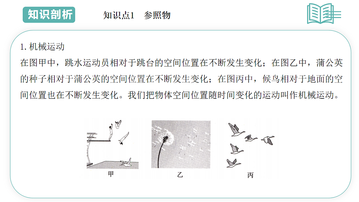 17706398第3页
