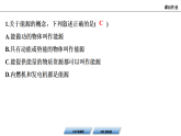 22.1　能源利用的现状和面临的挑战课件(有答案) 22.2 新能源的发展   2025-2026学年物理人教版（2024）九年级全一册