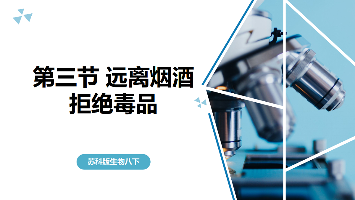 苏科版初中生物八年级下册7.18.3《远离烟酒 拒绝毒品》课件第2页