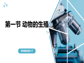 苏科版初中生物八年级下册8.19.1《动物的生殖》课件+教案表格式
