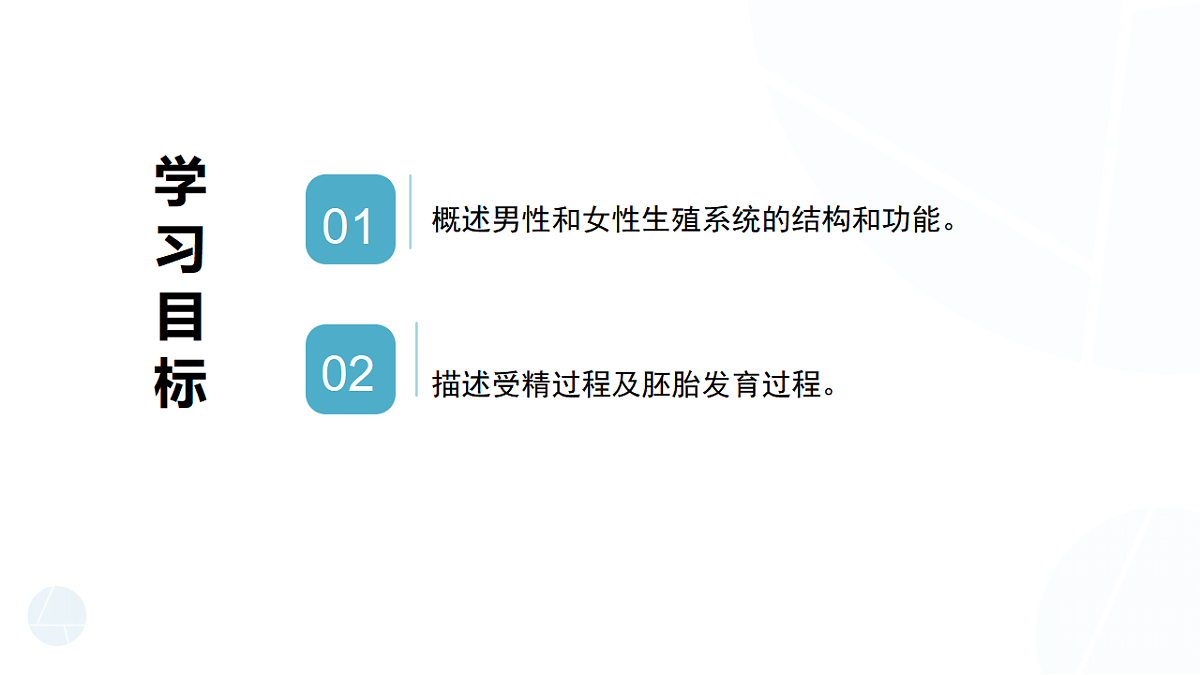 苏科版初中生物八年级下册8.19.2《人的生殖》课件第3页