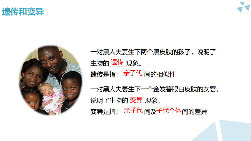 苏科版初中生物八年级下册8.20.1《生物的性状与基因》课件第5页
