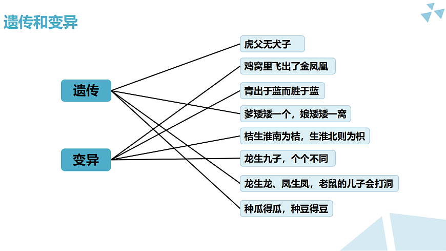 苏科版初中生物八年级下册8.20.1《生物的性状与基因》课件第6页