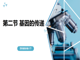 苏科版初中生物八年级下册8.20.2《基因的传递》课件+教案表格式