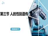 苏科版初中生物八年级下册8.20.3《人的性别遗传》课件+教案表格式