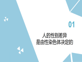 苏科版初中生物八年级下册8.20.3《人的性别遗传》课件+教案表格式