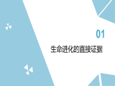 苏科版初中生物八年级下册8.21.1《生物来自共同的祖先》课件+教案表格式 - 副本