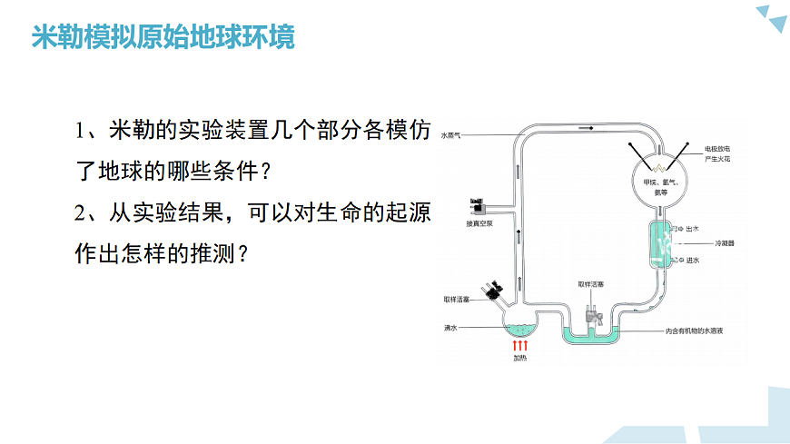 苏科版初中生物八年级下册8.21.1《生物来自共同的祖先》课件第7页