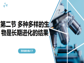 苏科版初中生物八年级下册8.21.2《多种多样的生物是长期进化的结果》课件+教案表格式