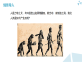 苏科版初中生物八年级下册8.21.3《人类的起源与进化》课件+教案表格式