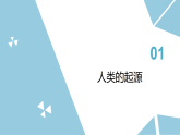 苏科版初中生物八年级下册8.21.3《人类的起源与进化》课件+教案表格式