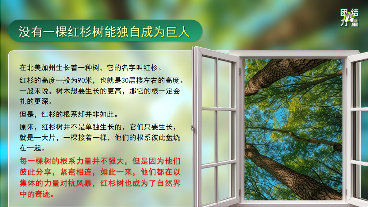 17709885第4页