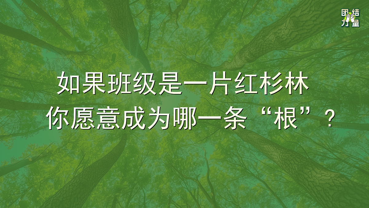 17709885第5页