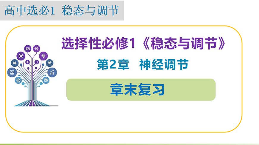 17710043第1页