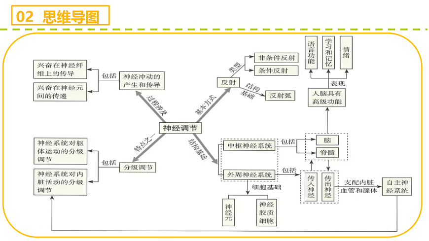 17710043第4页