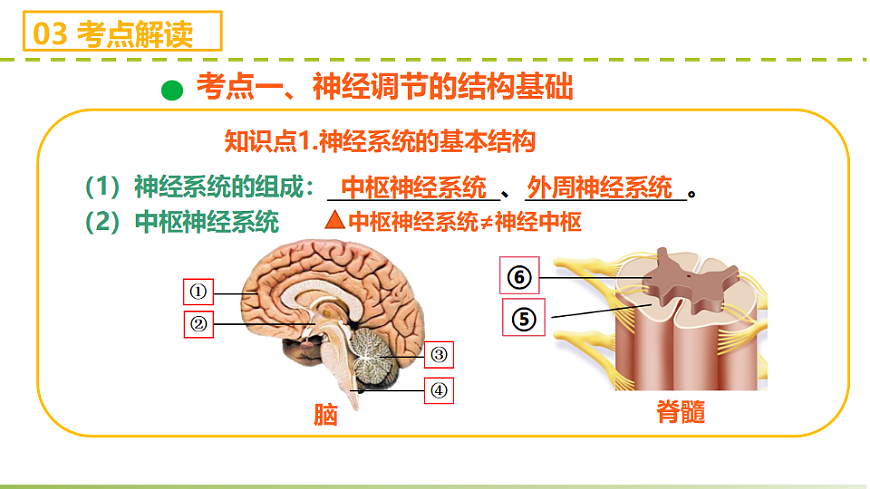 17710043第5页