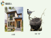 教科版2024小学科学一下第二单元《3、给蜗牛建个“家”》课件
