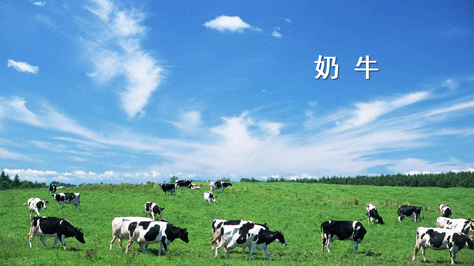 19 牧场之国第2页