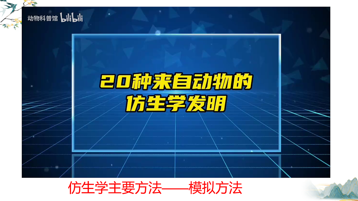 17711161第7页