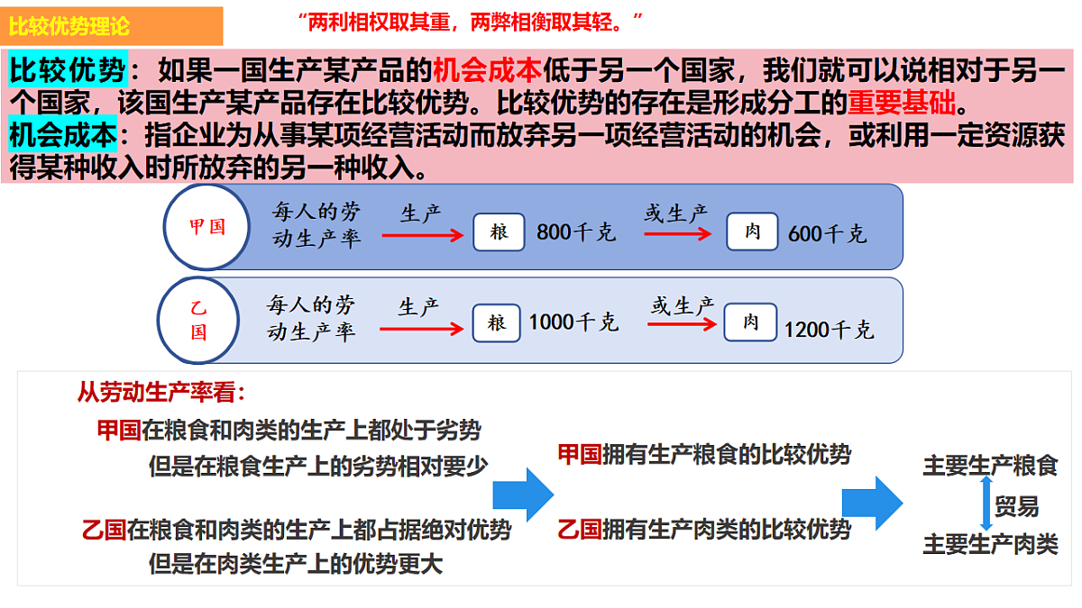 17711274第7页