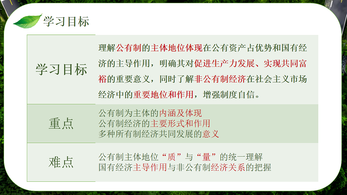 17711295第5页