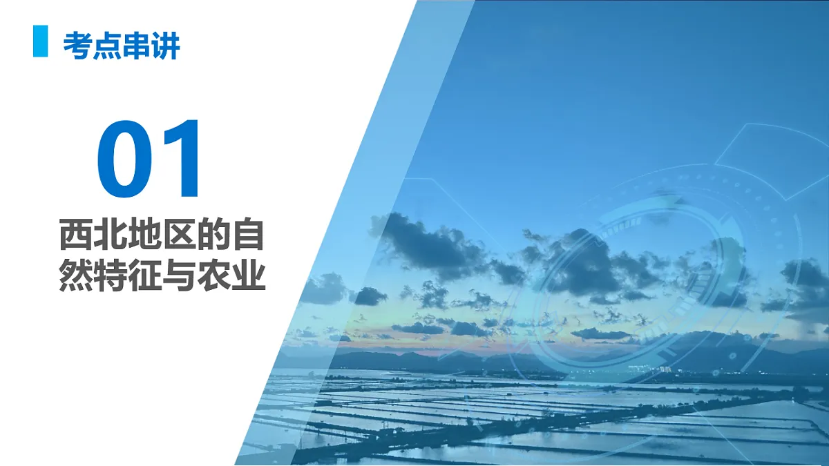 17711669第5页