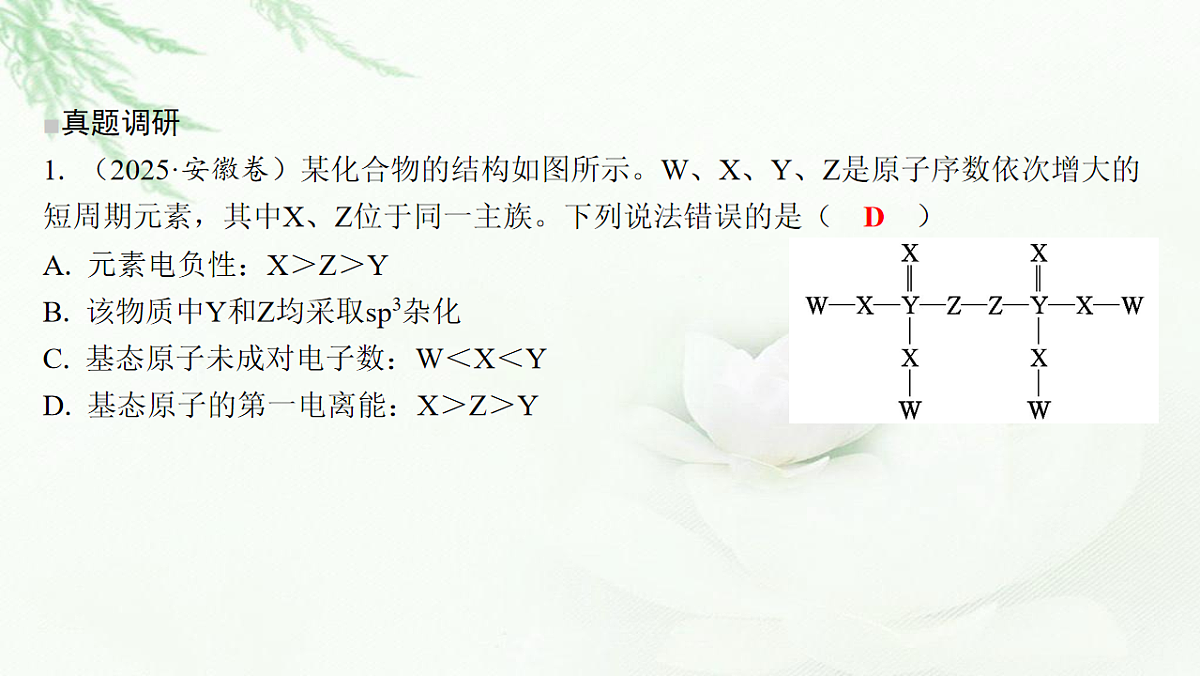 17712818第3页