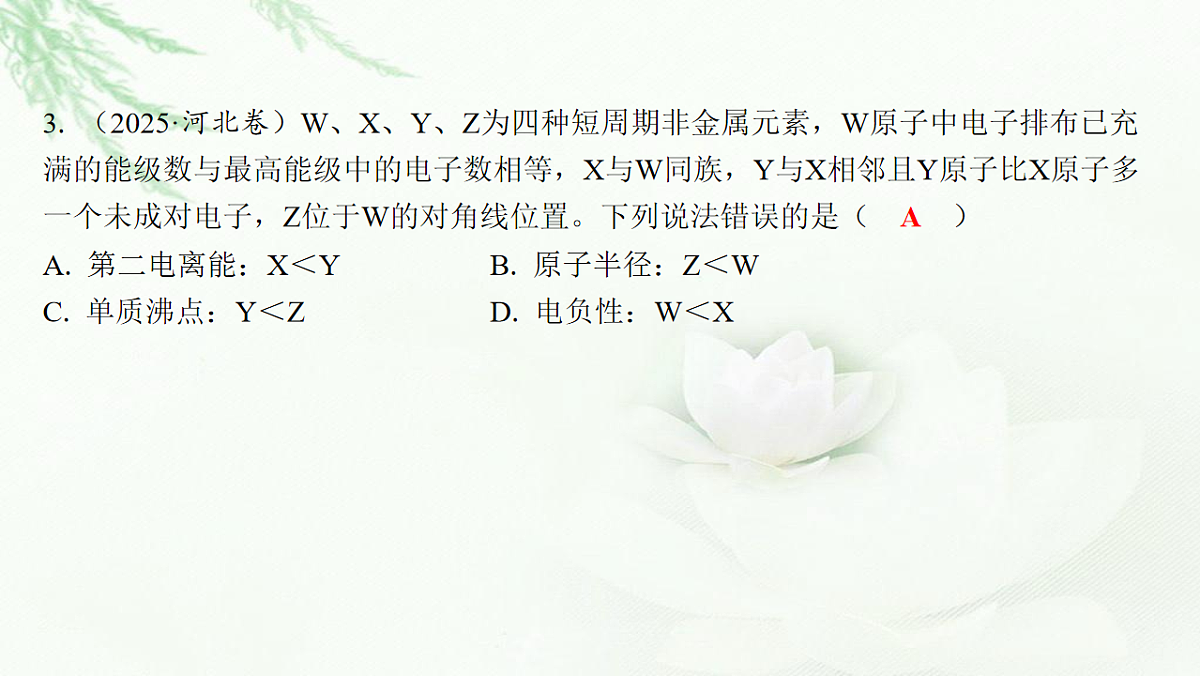 17712818第7页