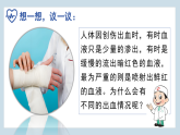 4.4.2 血流的管道——血管 2024-2025学年七年级生物下学期同步精美课件（人教版2024）