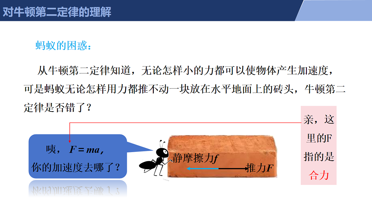 17713236第8页