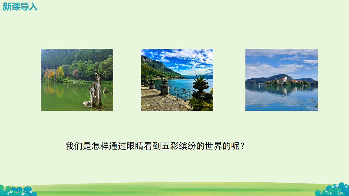 17713618第4页