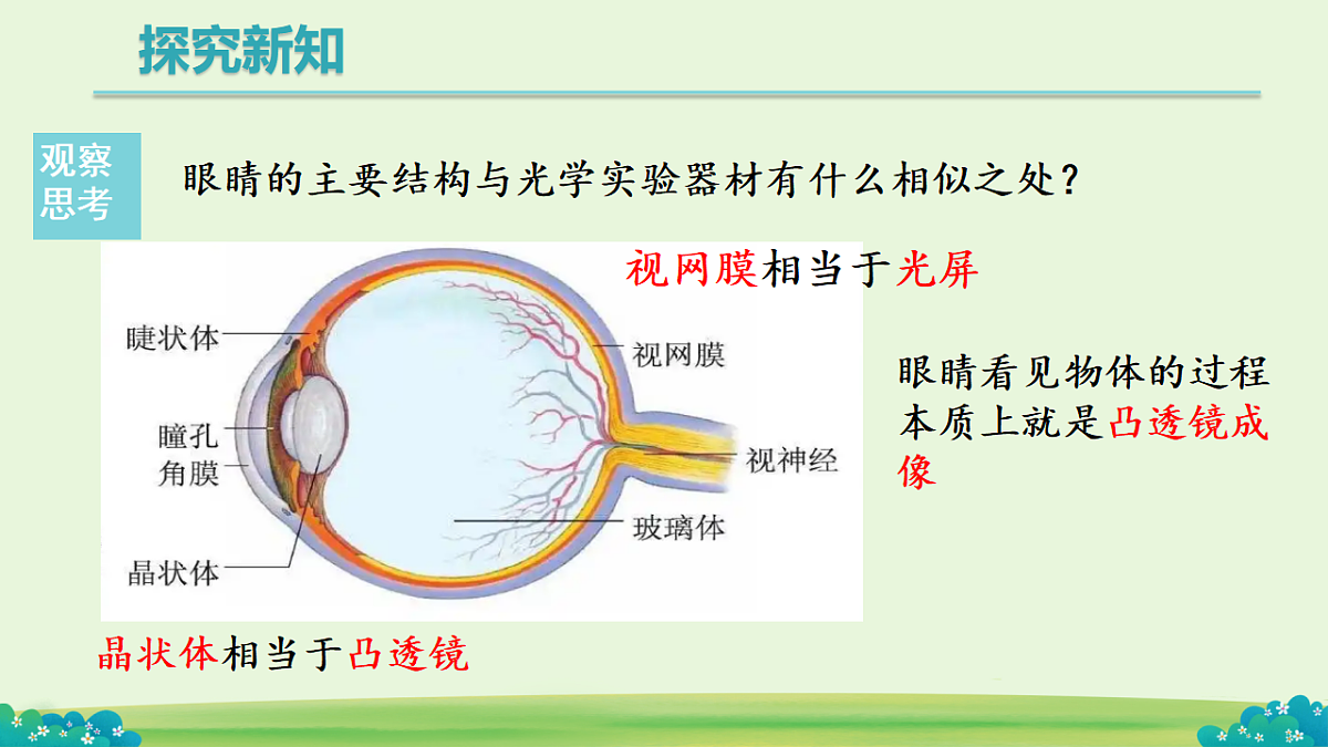 17713618第5页