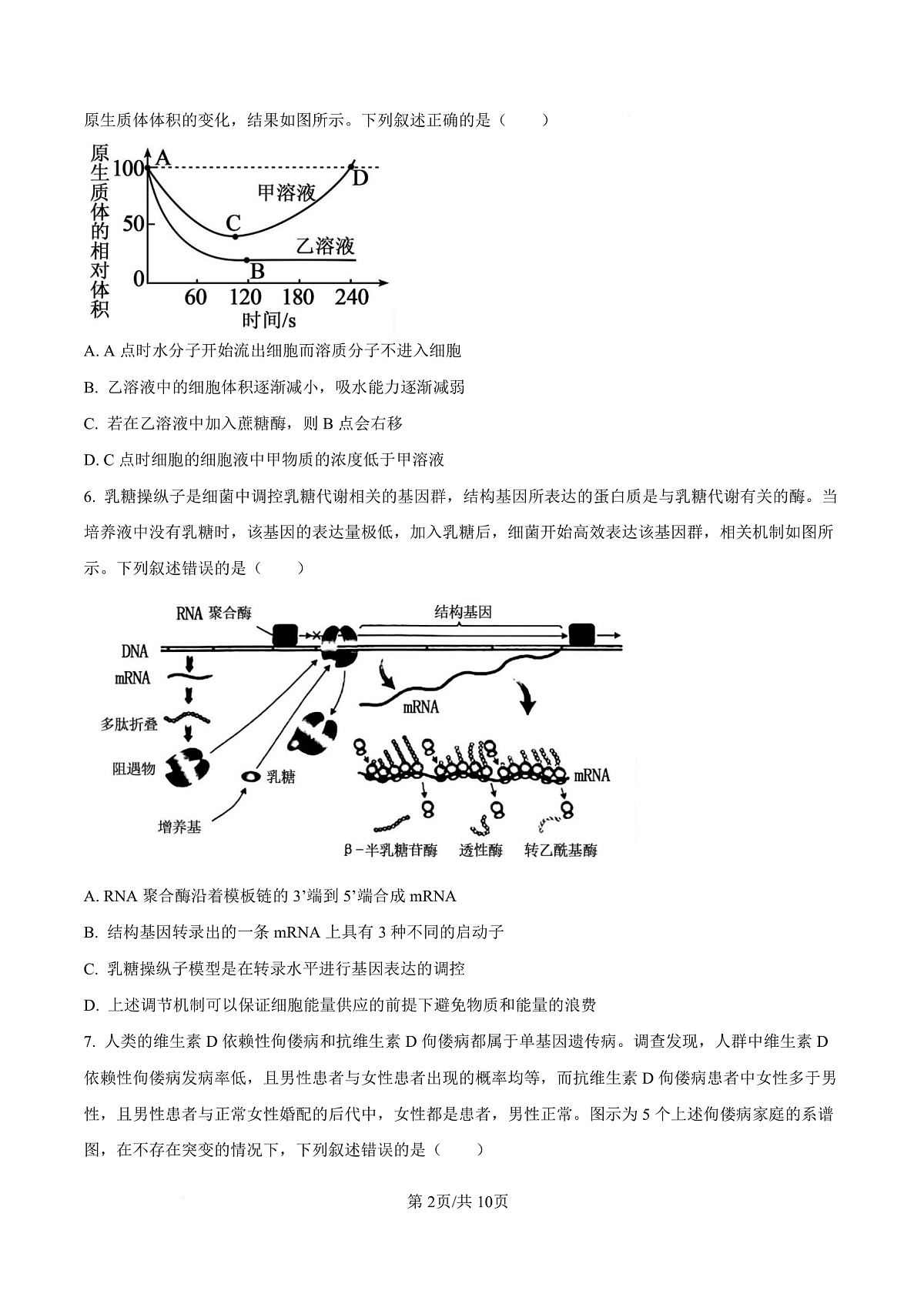 湖北省十一校2025-2026学年高三上学期12月质量检测生物试题（原卷版）第2页