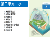 教科版（2024）三年级科学上册第二单元《水》复习课件