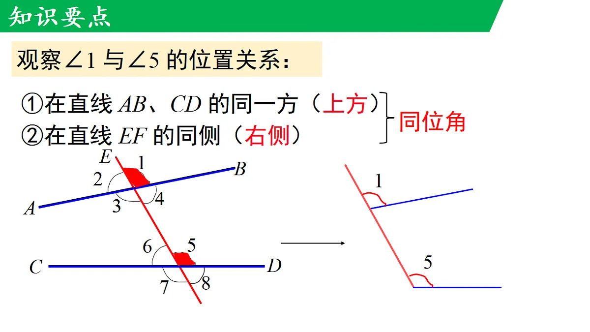 17716867第8页