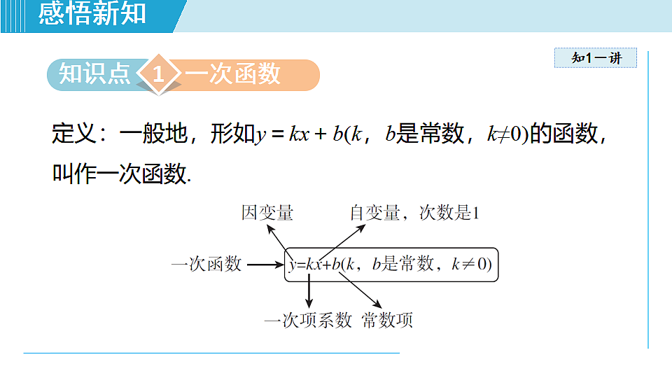 17718699第3页