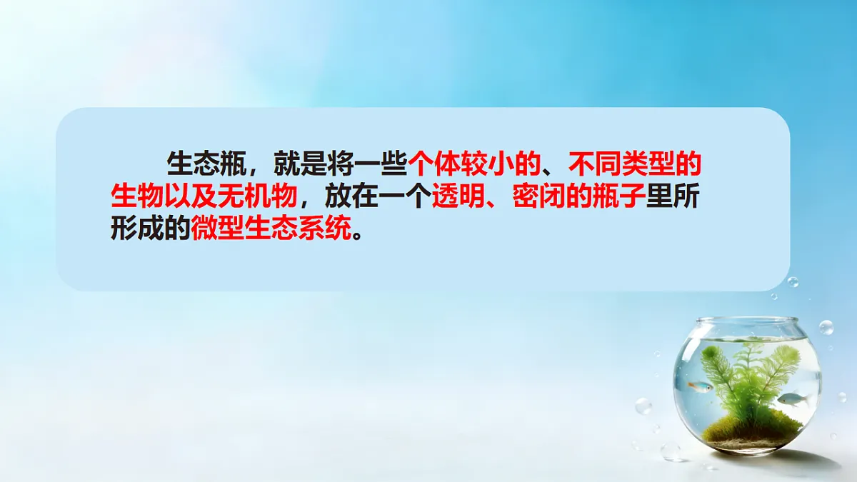 17718767第2页