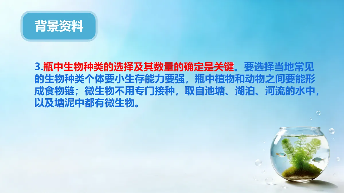 17718767第5页