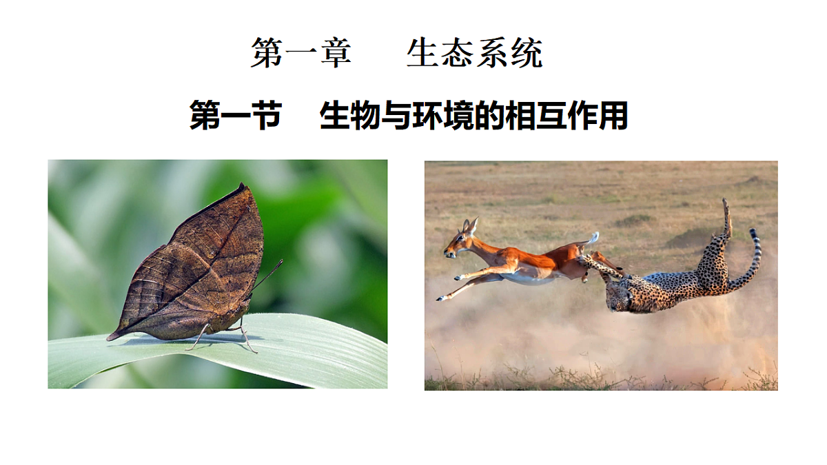 17718770第1页