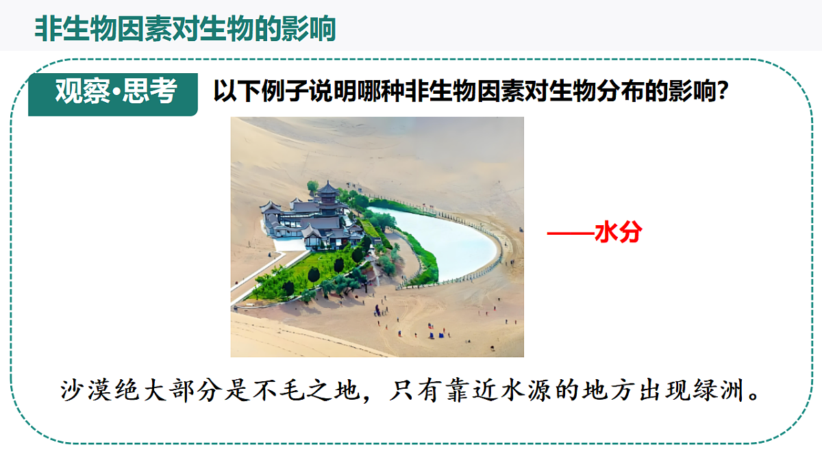 17718770第6页