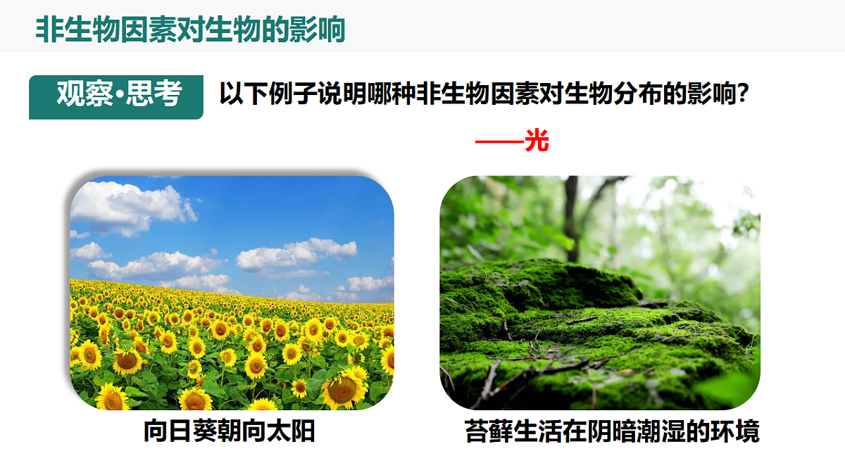 17718770第8页