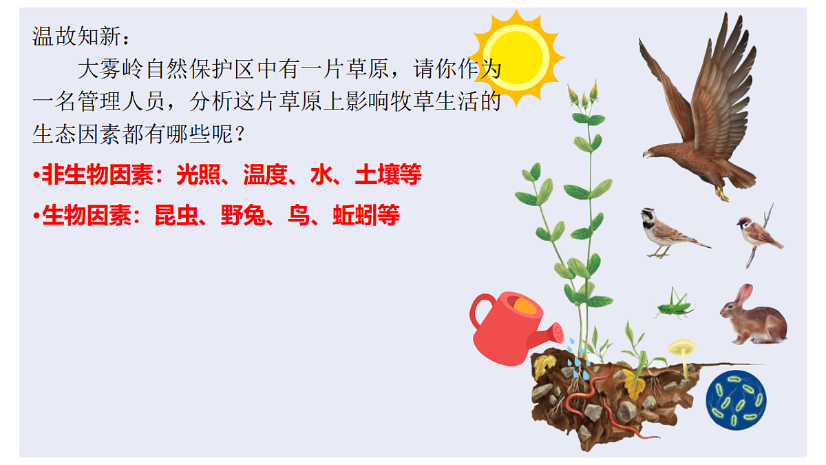 17718897第2页