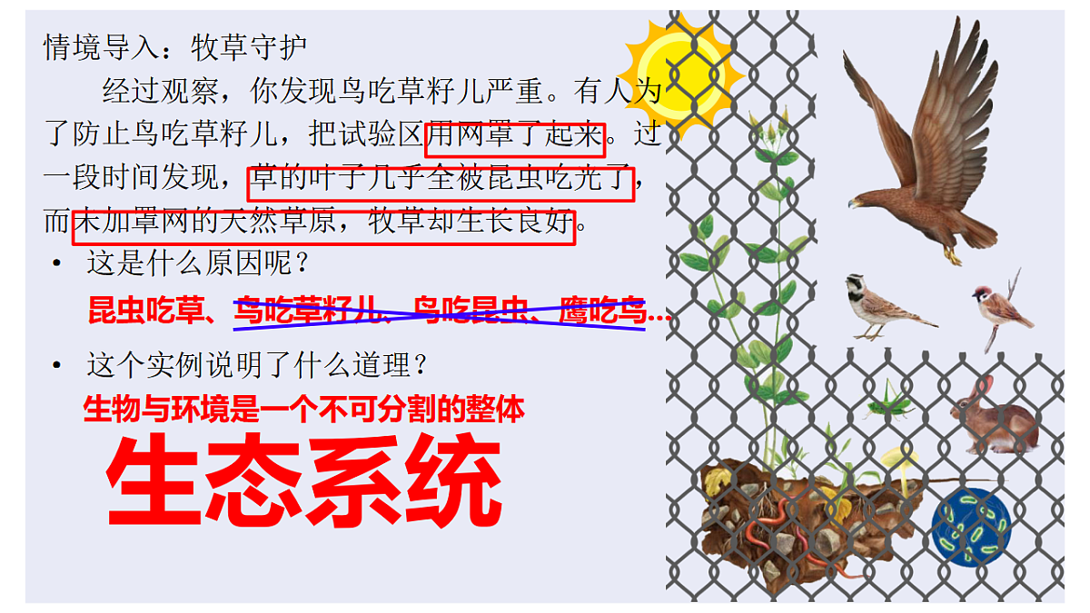 17718897第3页
