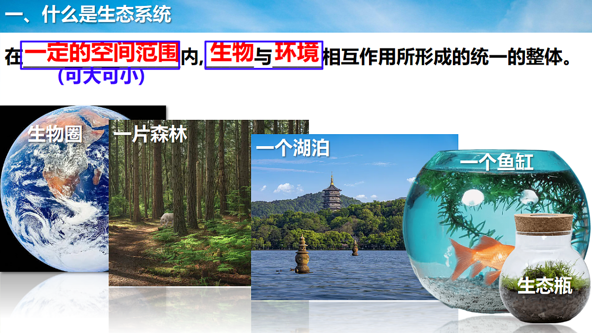 17718897第4页