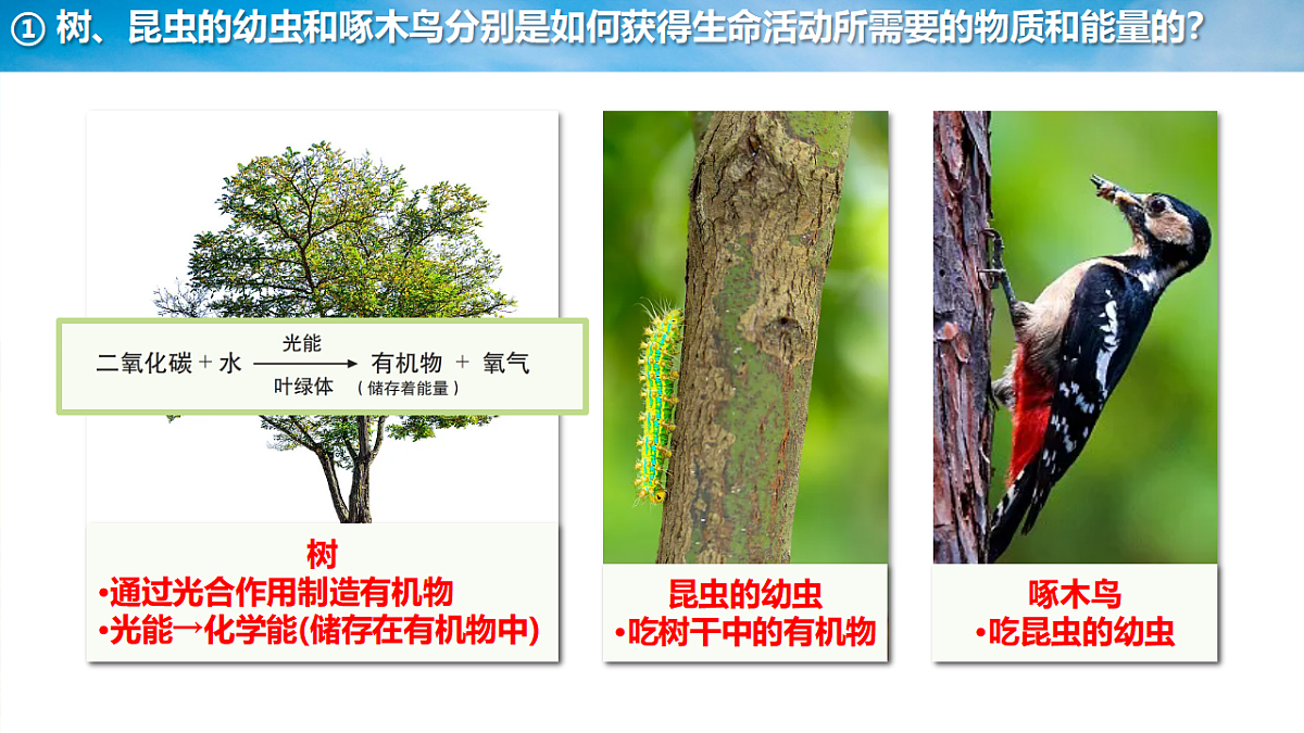 17718897第7页