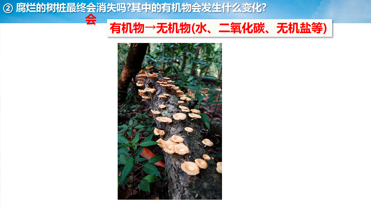 17718897第8页