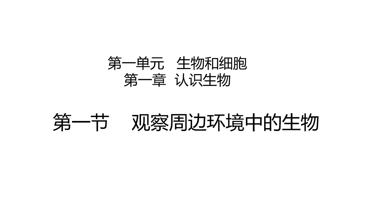 17719025第1页