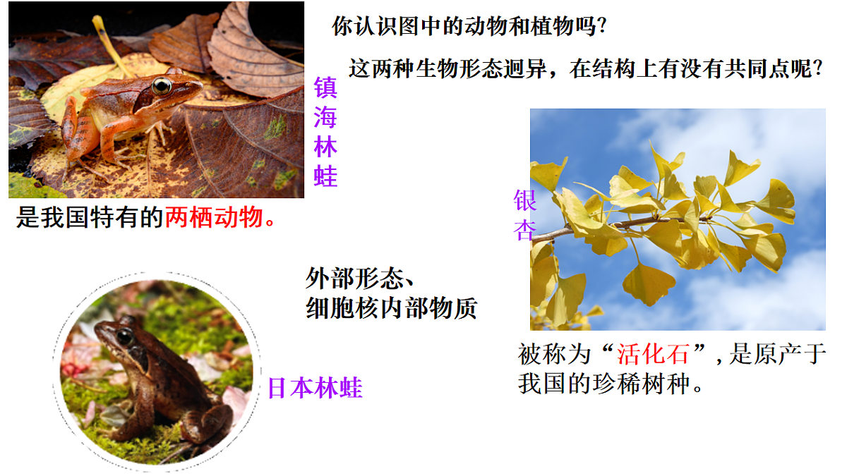 17719025第2页